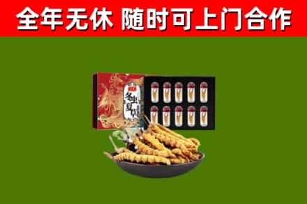版纳市烟酒回收冬虫夏草礼盒.jpg